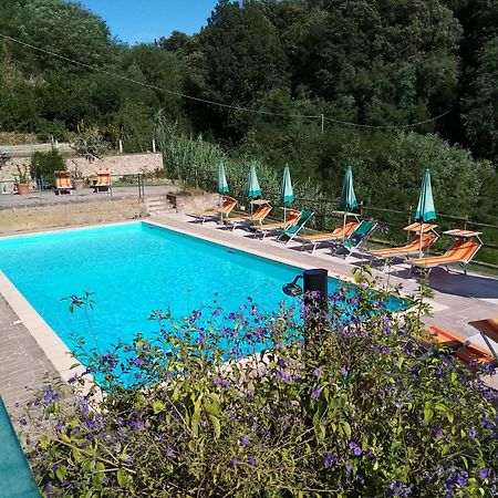 Villa Borgo di Alica Palaia Esterno foto